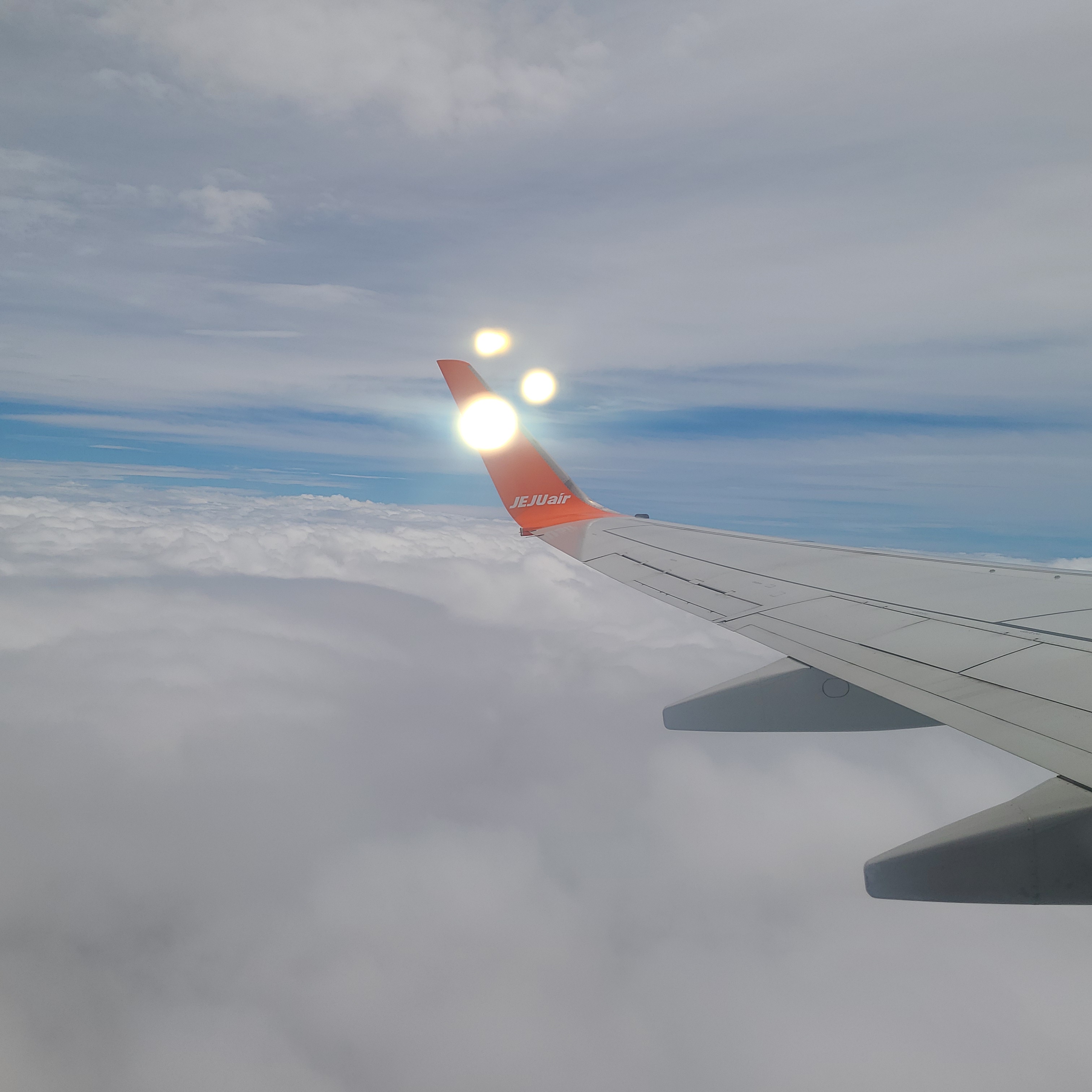 20220730_123950.jpg
