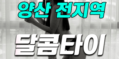 배너.gif