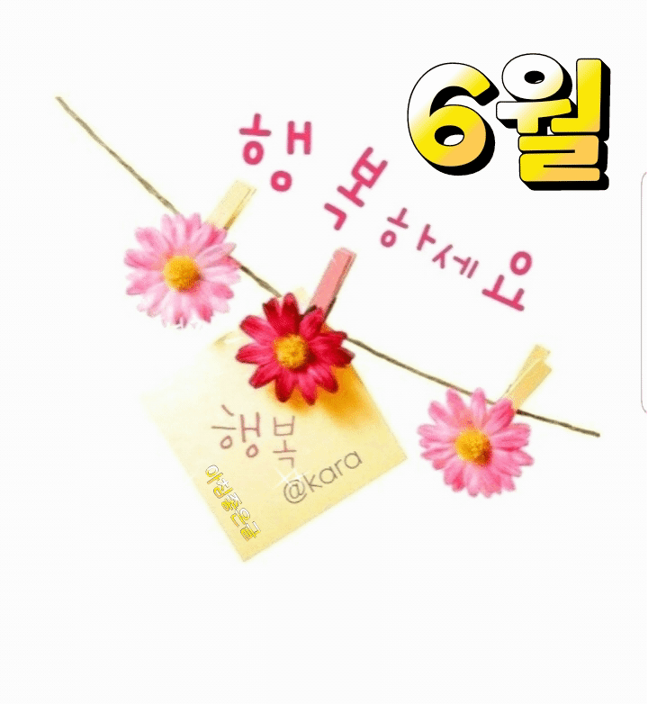 카카오스토리_2025_06_01 08_56_18.gif