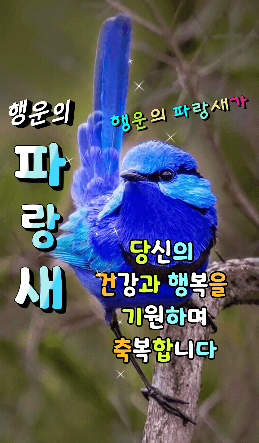 카카오스토리_2025_08_07 08_17_35.gif