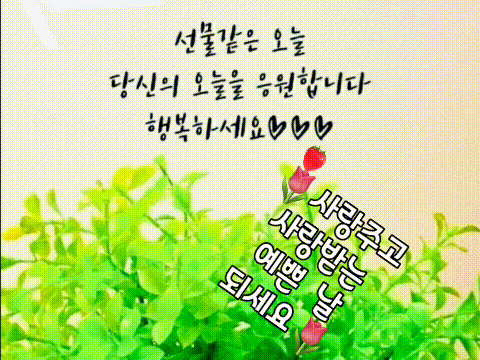 카카오스토리_2026_03_31 06_58_41.gif