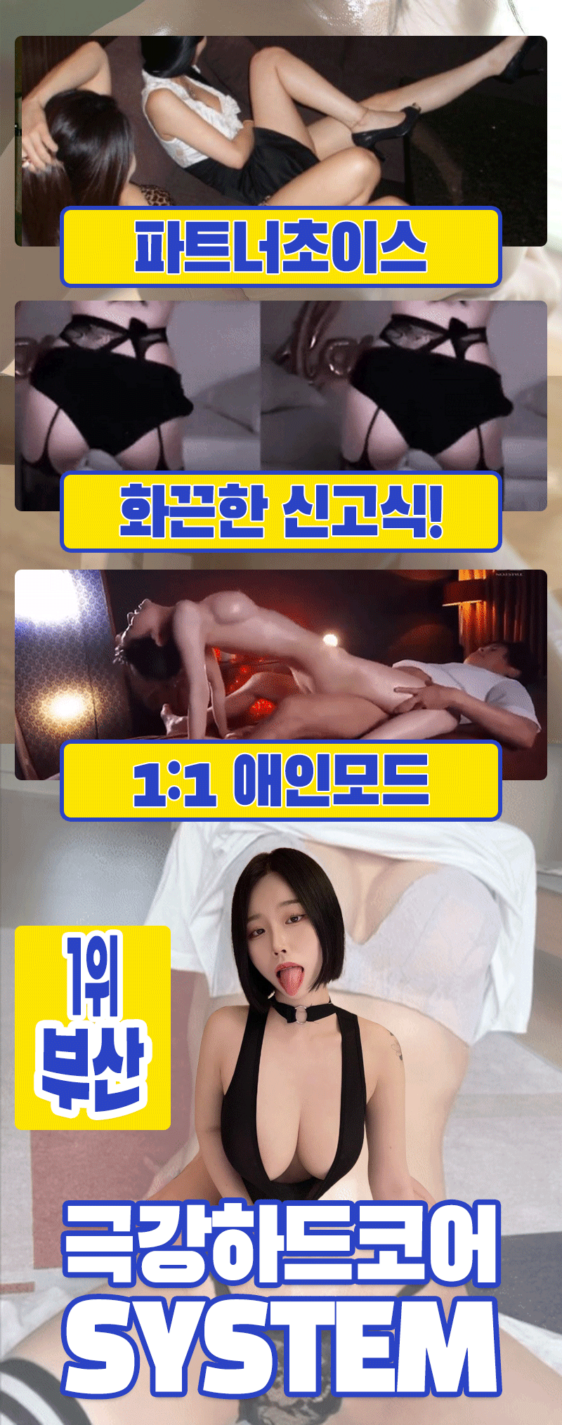 5.gif